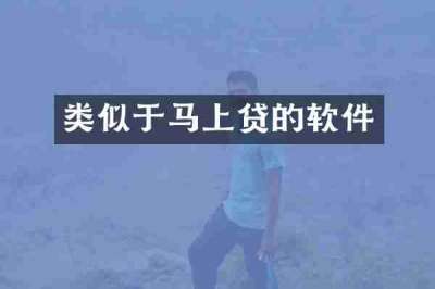 类似于马上贷的软件