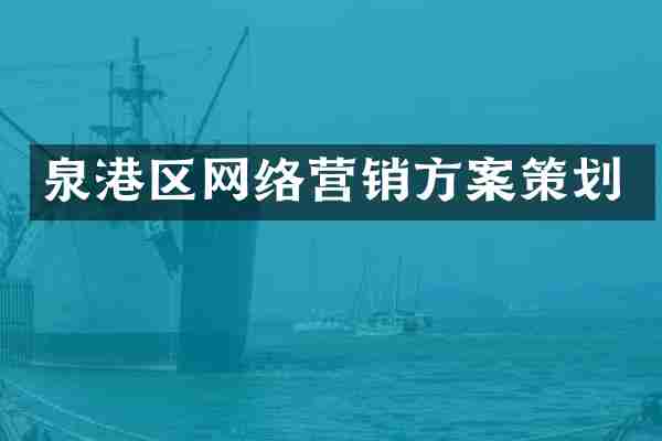 泉港区网络营销方案策划