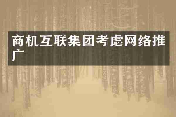 商机互联集团考虑网络推广