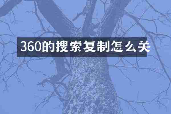 360的搜索复制怎么关