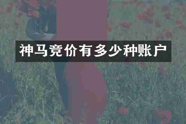 神马竞价有多少种账户