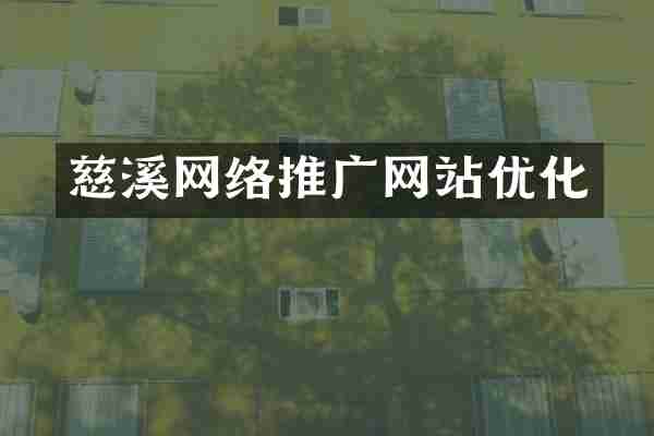 慈溪网络推广网站优化