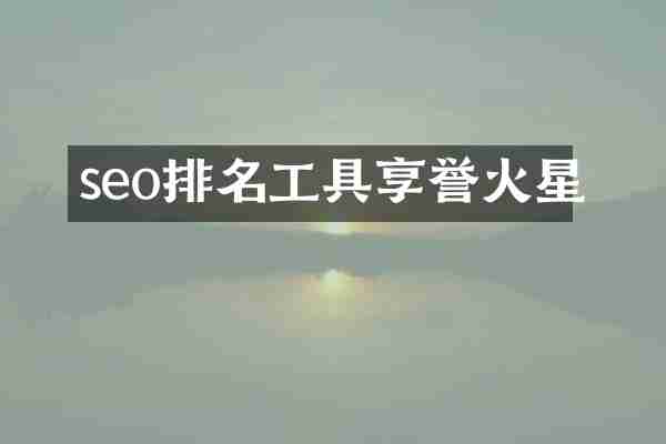 seo排名工具享誉火星