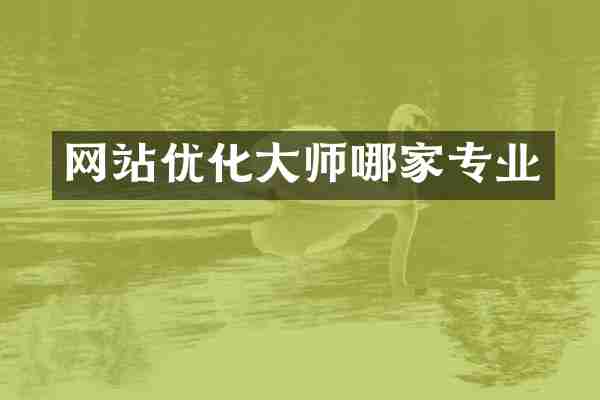 网站优化大师哪家专业
