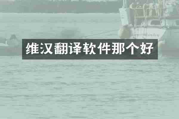 维汉翻译软件那个好