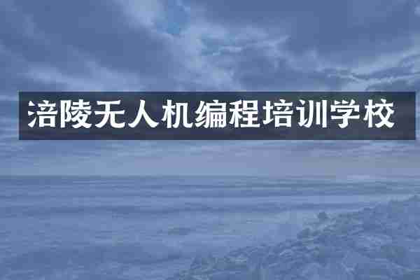 涪陵无人机编程培训学校