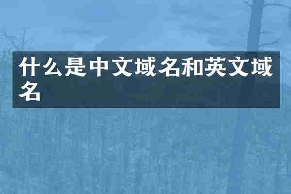 什么是中文域名和英文域名
