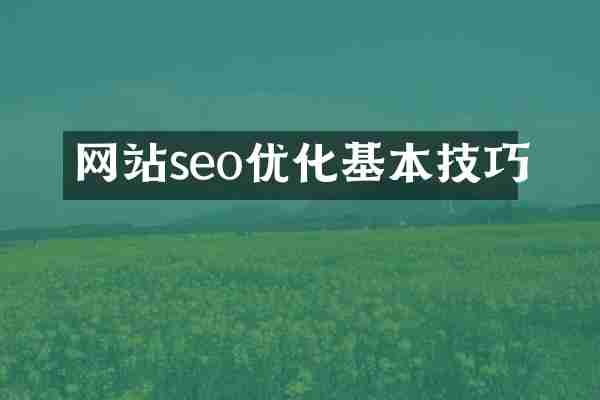网站seo优化基本技巧