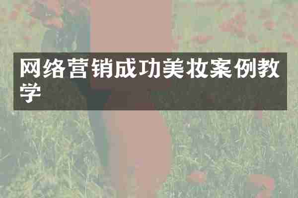 网络营销成功美妆案例教学