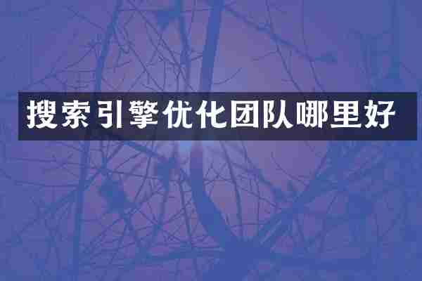 搜索引擎优化团队哪里好