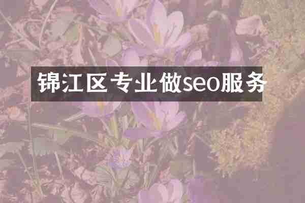 锦江区专业做seo服务