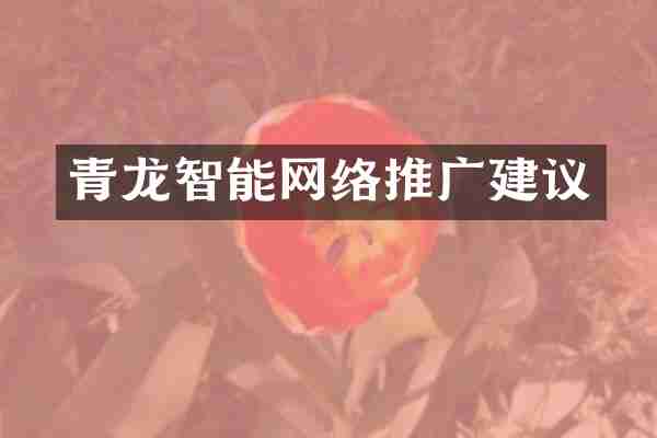 青龙智能网络推广建议