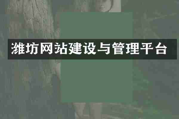 潍坊网站建设与管理平台