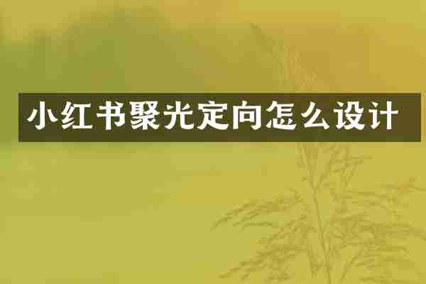 小红书聚光定向怎么设计