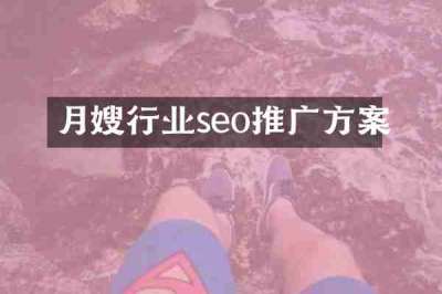 月嫂行业seo推广方案