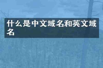 什么是中文域名和英文域名