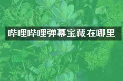 哔哩哔哩弹幕宝藏在哪里