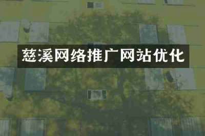 慈溪网络推广网站优化