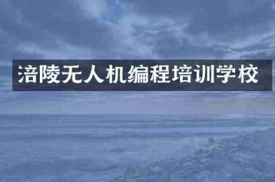 涪陵无人机编程培训学校