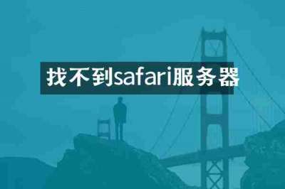 找不到safari服务器