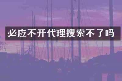 必应不开代理搜索不了吗
