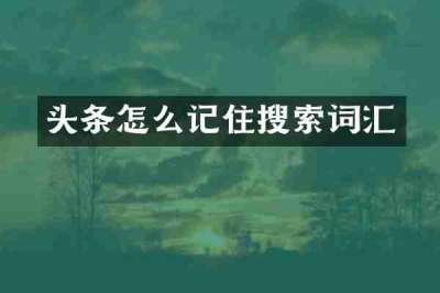 头条怎么记住搜索词汇