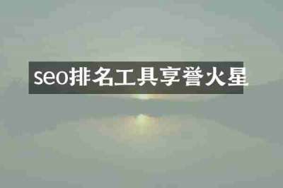 seo排名工具享誉火星