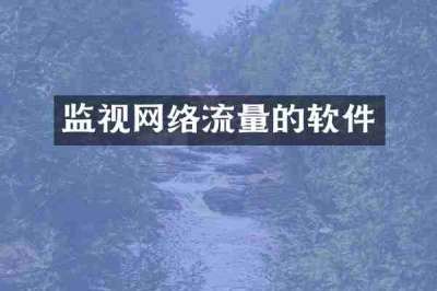 监视网络流量的软件