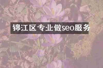 锦江区专业做seo服务