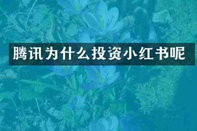 腾讯为什么投资小红书呢