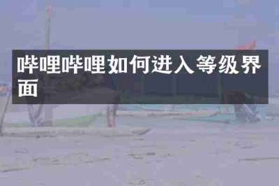 哔哩哔哩如何进入等级界面