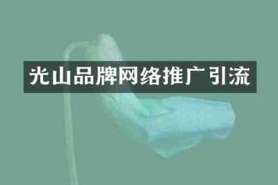 光山品牌网络推广引流