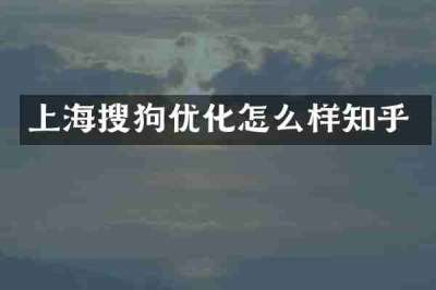 上海搜狗优化怎么样知乎
