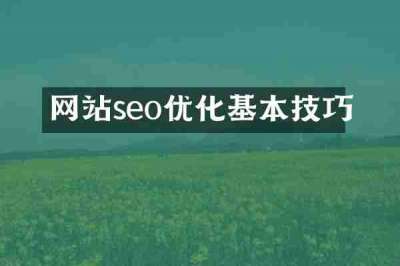 网站seo优化基本技巧