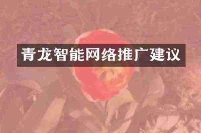 青龙智能网络推广建议