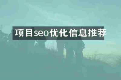 项目seo优化信息推荐