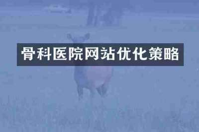 骨科医院网站优化策略