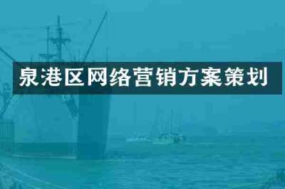 泉港区网络营销方案策划