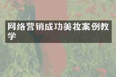 网络营销成功美妆案例教学