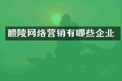 醴陵网络营销有哪些企业