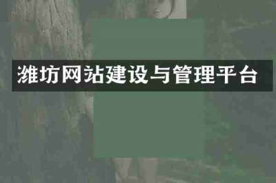 潍坊网站建设与管理平台