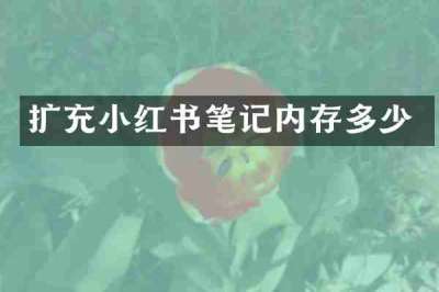 扩充小红书笔记内存多少