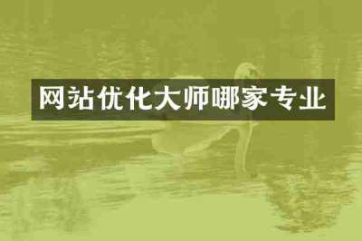网站优化大师哪家专业
