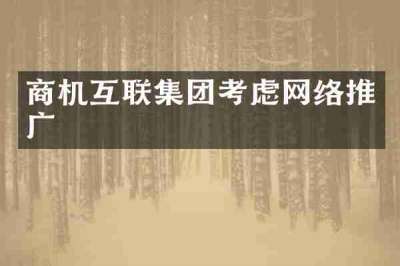 商机互联集团考虑网络推广