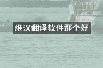 维汉翻译软件那个好