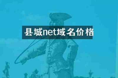 县城net域名价格