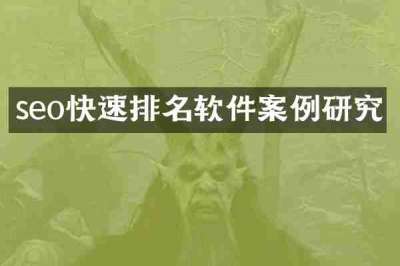 seo快速排名软件案例研究