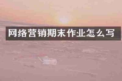 网络营销期末作业怎么写