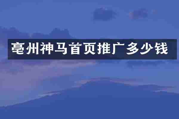 亳州神马首页推广多少钱