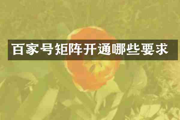 百家号矩阵开通哪些要求